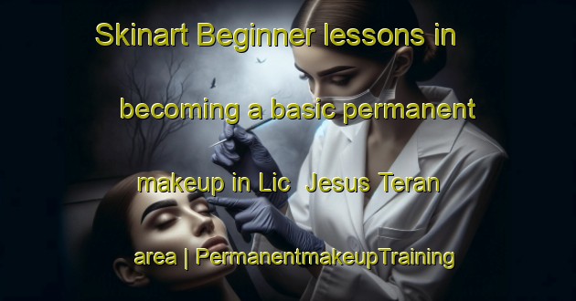 Skinart Beginner lessons in becoming a basic permanent makeup in Lic  Jesus Teran area | PermanentmakeupTraining | PermanentmakeupClasses | SkinartTraining-Mexico